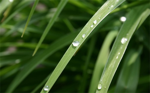 电视机高清线怎么调节高度,怎么调节电视机的颜色