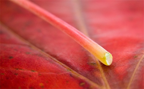 电视机高清线怎么调节高度,怎么调节电视机的颜色